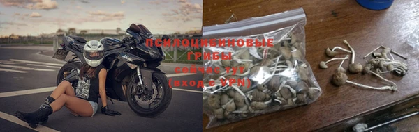 хмурый Бронницы