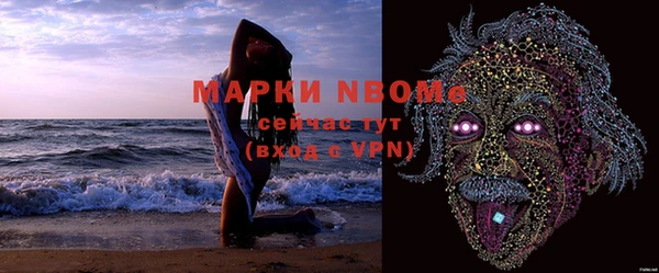 хмурый Бронницы