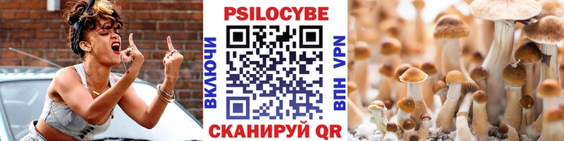 Псилоцибиновые грибы прущие грибы  Губкинский 